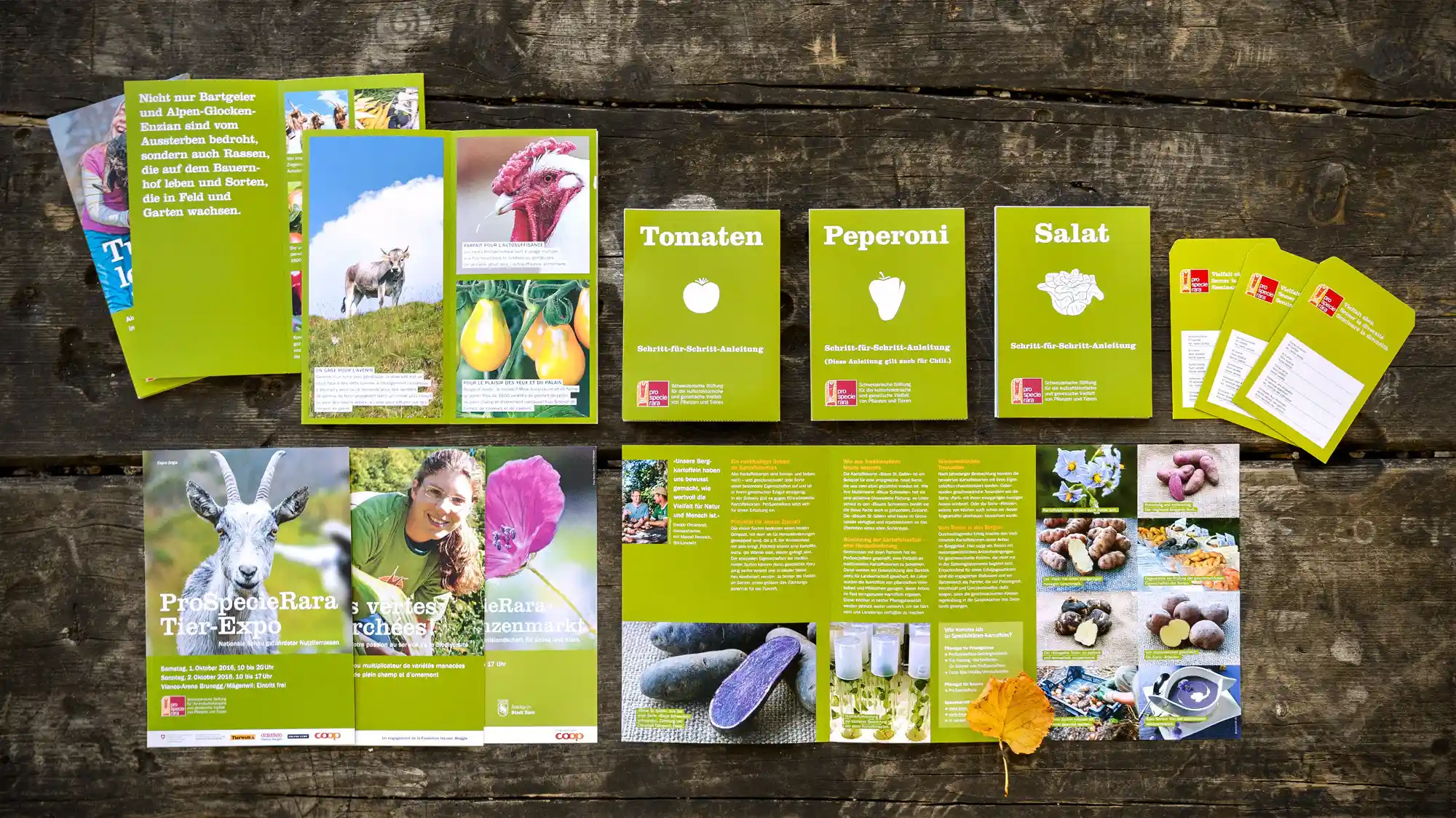 ProSpecieRara – Corporate Design Auswahl