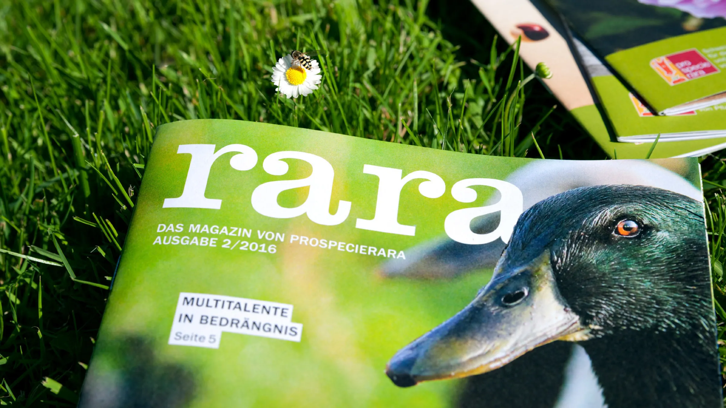ProSpecieRara – Gönnermagazin Titelseite gezoomt