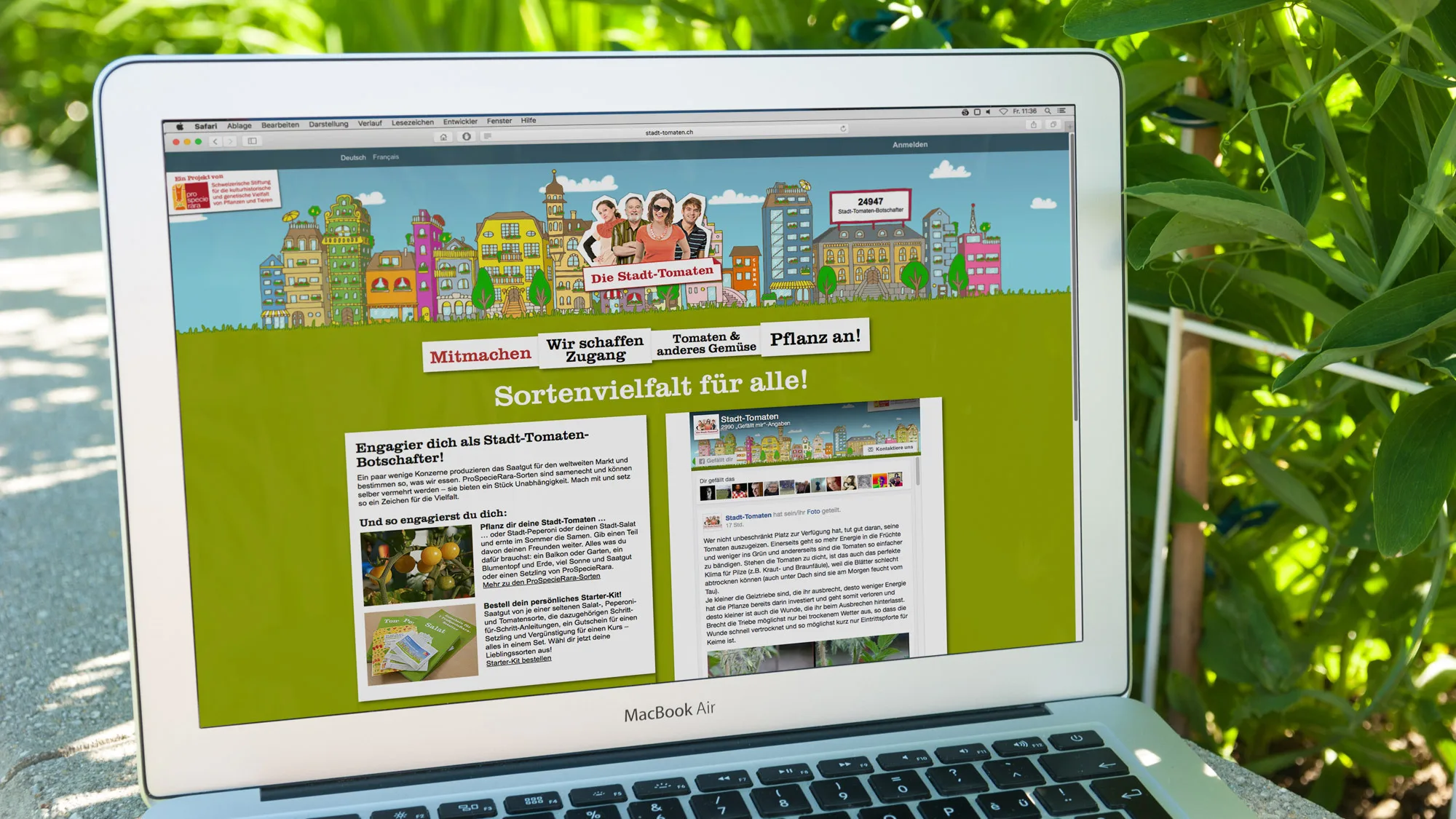 ProSpecieRara – Kampagne Stadt-Tomaten – Website